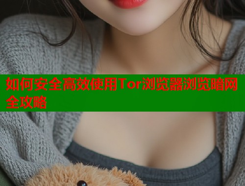 如何安全高效使用Tor浏览器浏览暗网全攻略  第1张