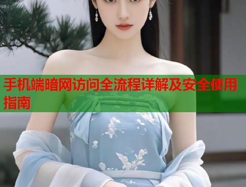 手机端暗网访问全流程详解及安全使用指南  第1张