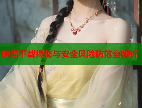 暗网下载揭秘与安全风险防范全解析  第1张