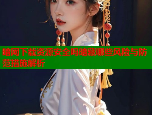 暗网下载资源安全吗暗藏哪些风险与防范措施解析  第1张