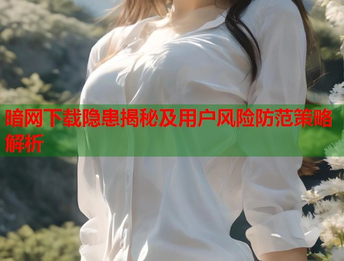 暗网下载隐患揭秘及用户风险防范策略解析  第1张