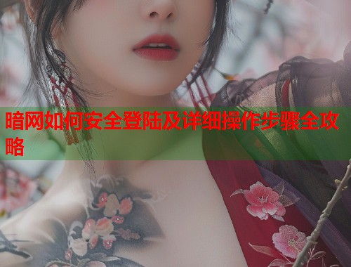暗网如何安全登陆及详细操作步骤全攻略  第1张