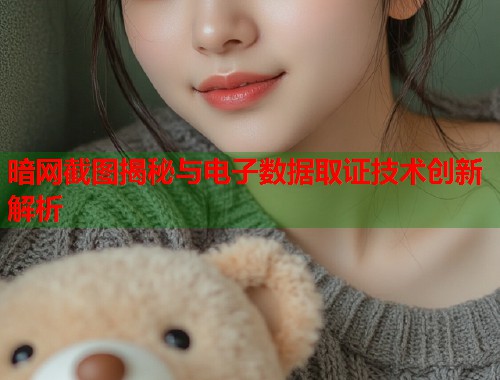 暗网截图揭秘与电子数据取证技术创新解析  第1张