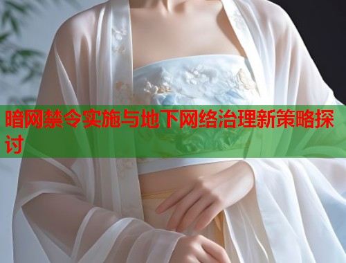 暗网禁令实施与地下网络治理新策略探讨  第1张