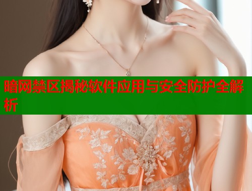 暗网禁区揭秘软件应用与安全防护全解析  第1张