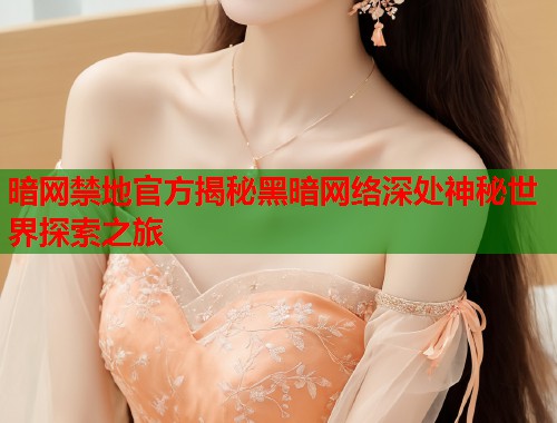 暗网禁地官方揭秘黑暗网络深处神秘世界探索之旅  第1张