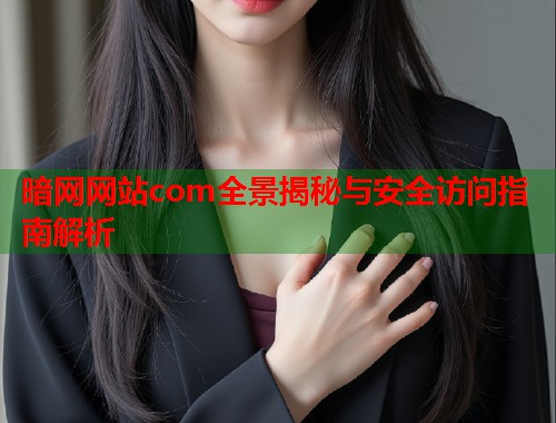暗网网站com全景揭秘与安全访问指南解析  第1张